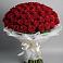 Букет 101 Красная роза Блэк Мэджик в Онохой