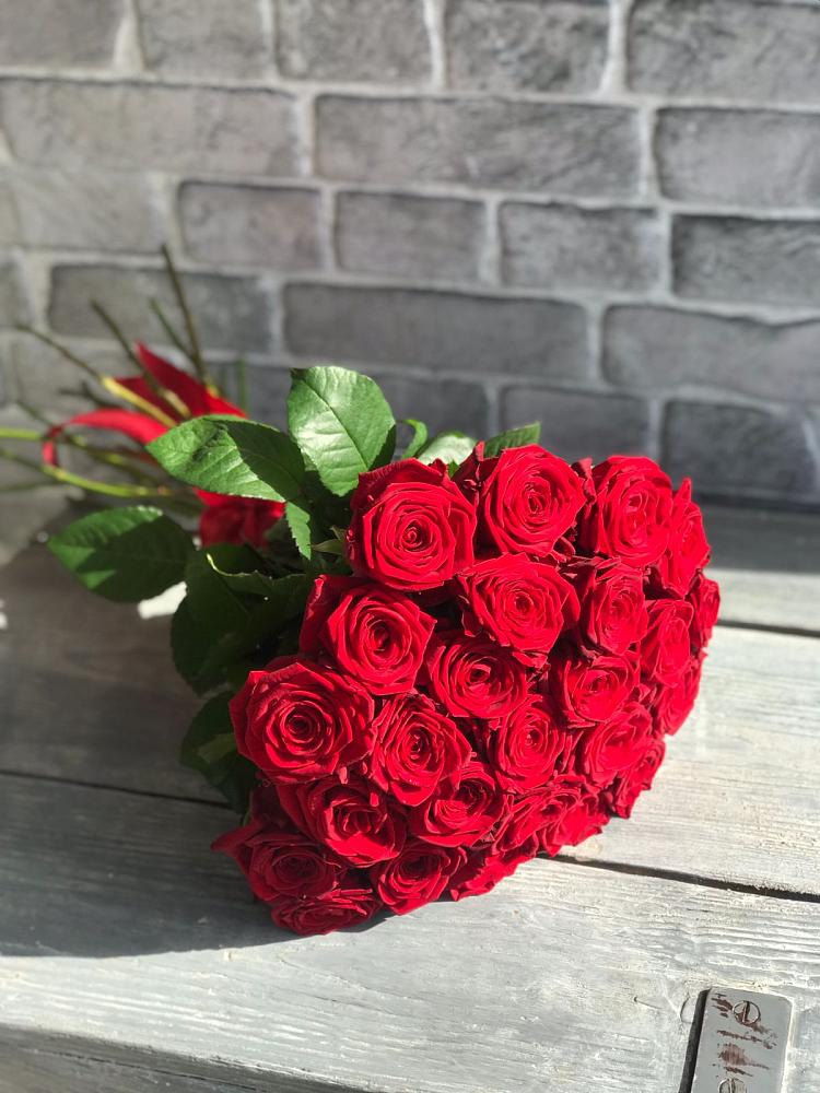 Букет Красные розы Фридом в Онохой