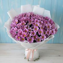 Букет цветов из:  Хризантемы в Онохой