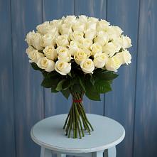 Букет 51 Белая роза Эдлесс Лав #REPLACE_PRED# Онохой