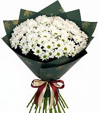 Букет цветов из:  Хризантемы в Онохой