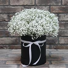 Цветочная композиция из Гипсофила в шляпной коробке в Онохой