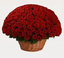 Премиум букет из: Розы в Онохой