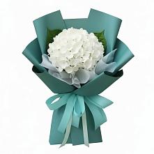 Букет цветов из:  Гортензия в Онохой